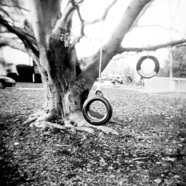 Swinging Tree  by Sue Jenkins